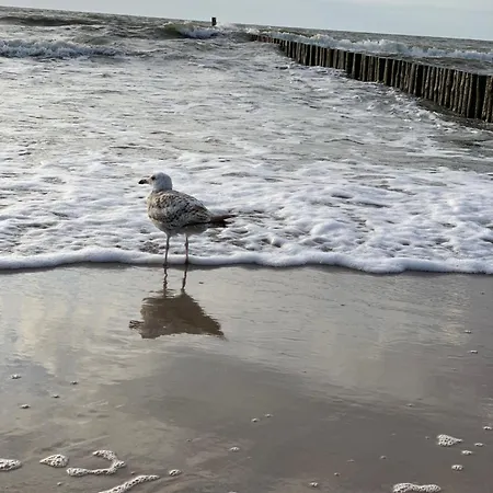 Hamptons Perlowa Przystan 公寓 *