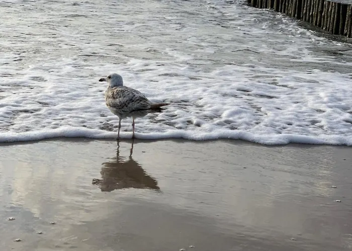 Hamptons Perlowa Przystan Apartmán *